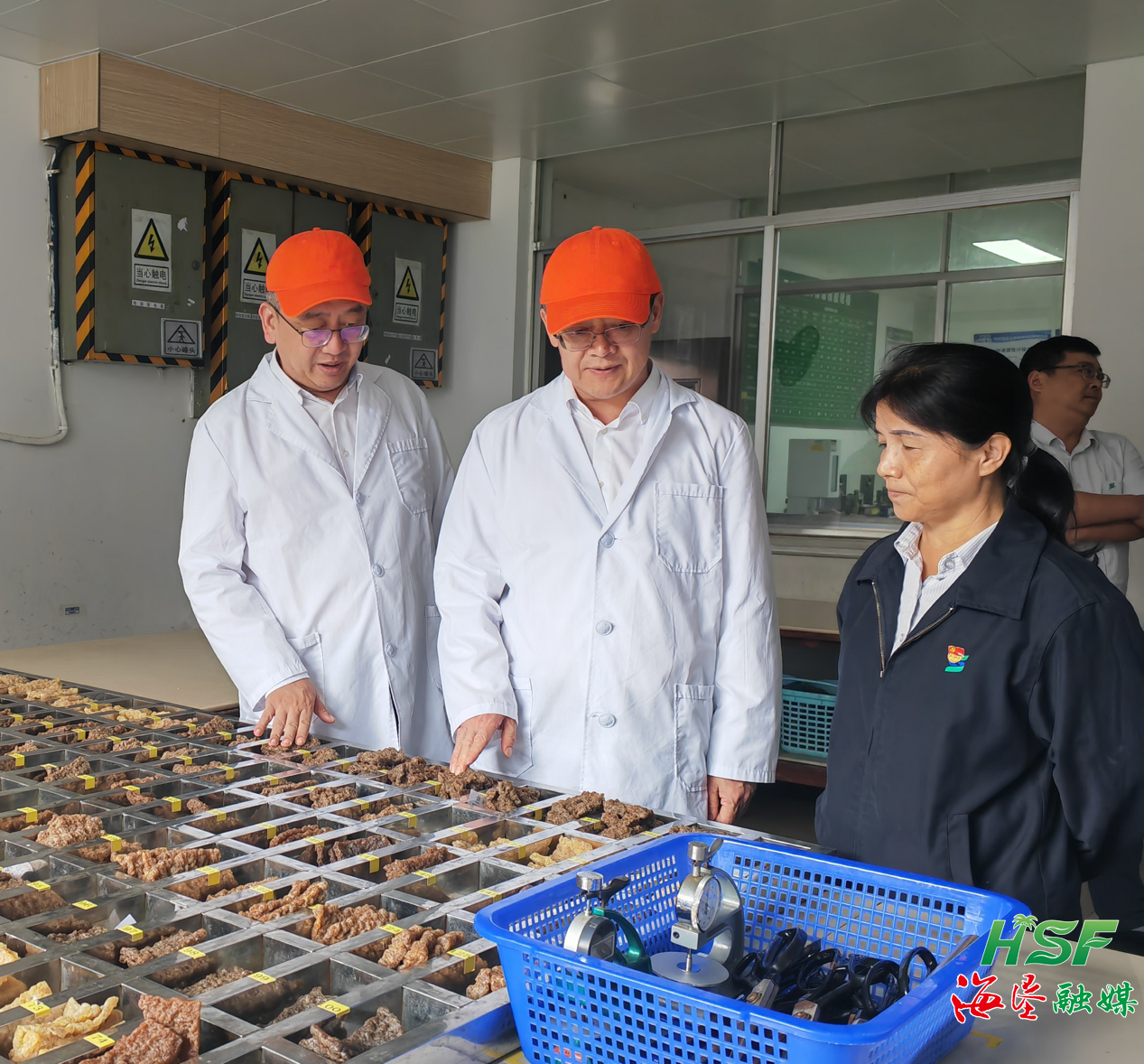 1700708867838026087.png 1700708867838026087.png