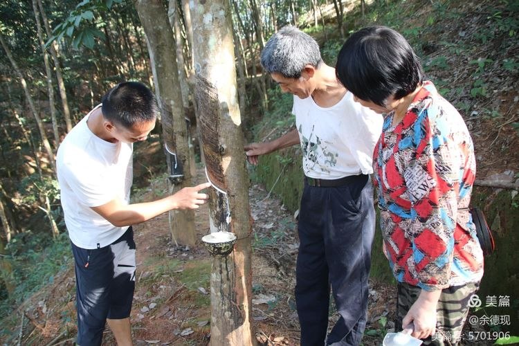 1703724442894077982.png 1703724442894077982.png