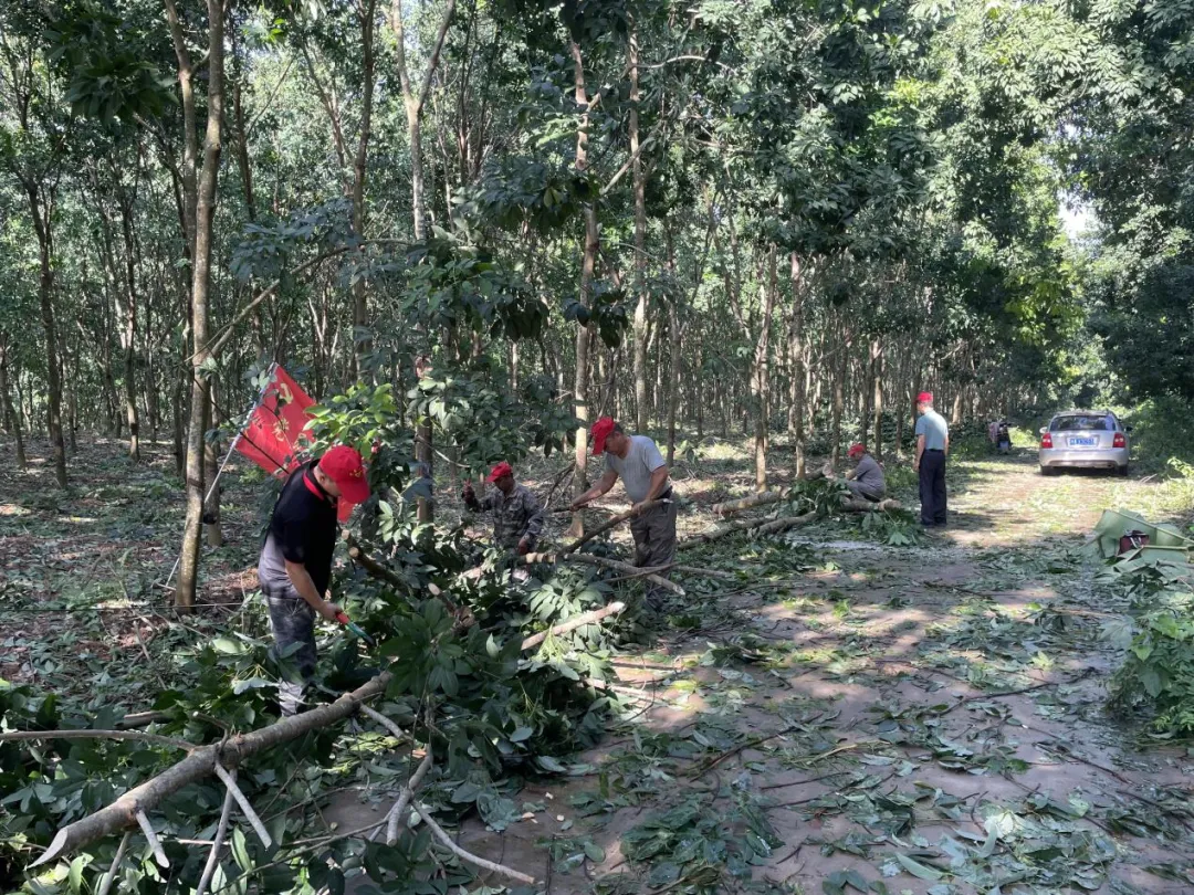 1726644100841032519.jpg 1726644100841032519.jpg