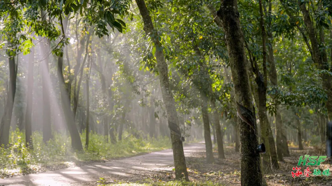 1755879772395069439.jpg 1755879772395069439.jpg