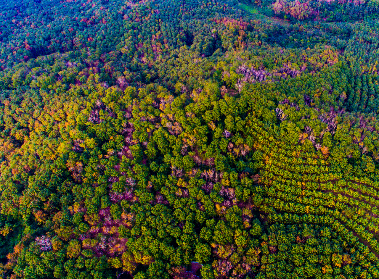 1763448154394040630.png 1.2.png