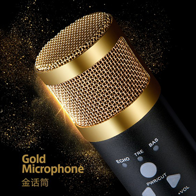 蔡琴金話筒盒裝設計