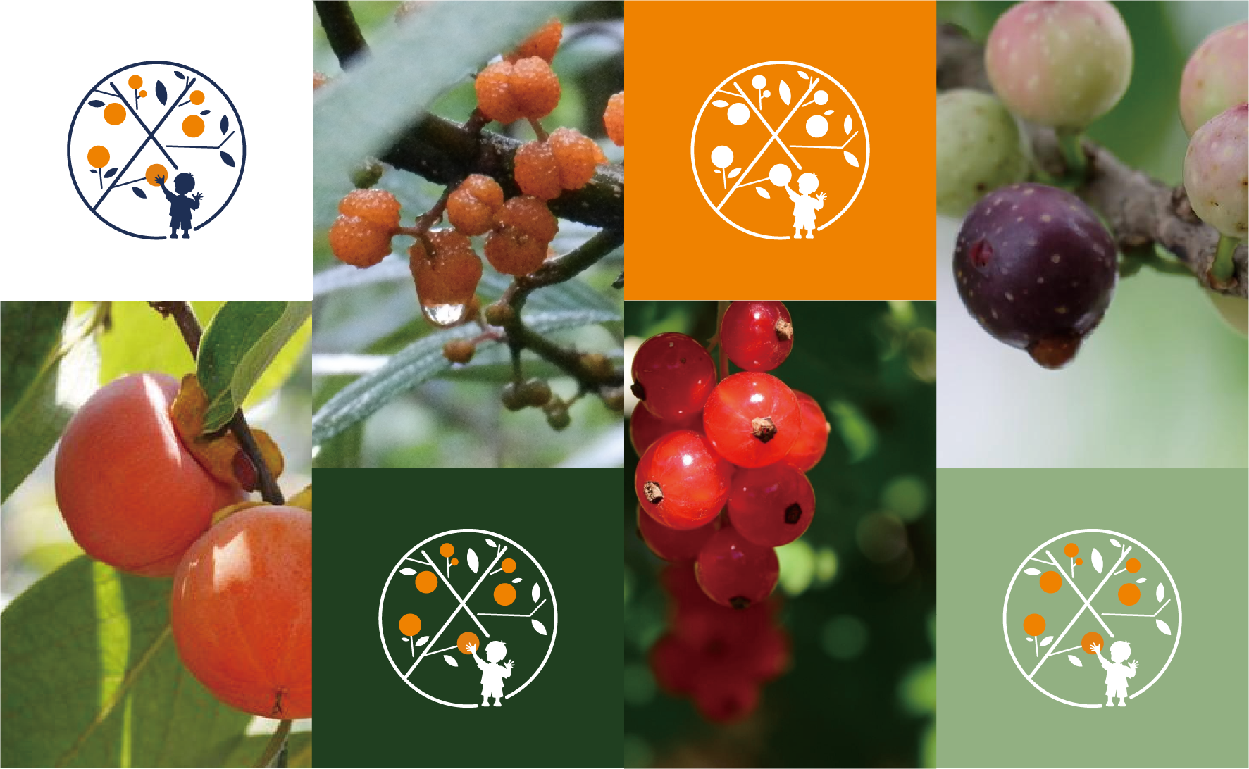 喜山分子果汁品牌VI設計,水果茶品牌商標設計，飲品標志logo設計，設計LOGO開店，奶茶商標設計注冊