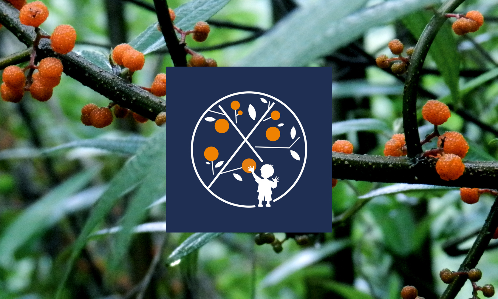 果汁品牌設計，新式茶飲品牌設計，奶茶品牌設計，奶茶品牌logo設計，飲品品牌logo設計