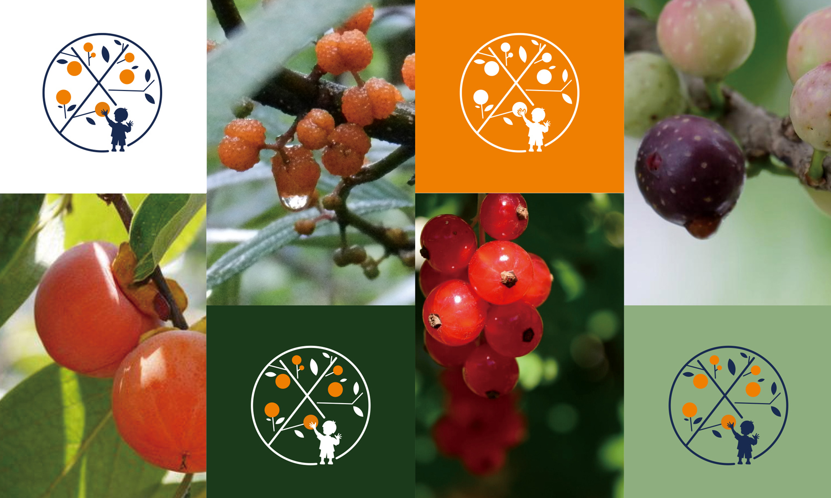 果汁品牌設計，新式茶飲品牌設計，奶茶品牌設計，奶茶品牌logo設計，飲品品牌logo設計