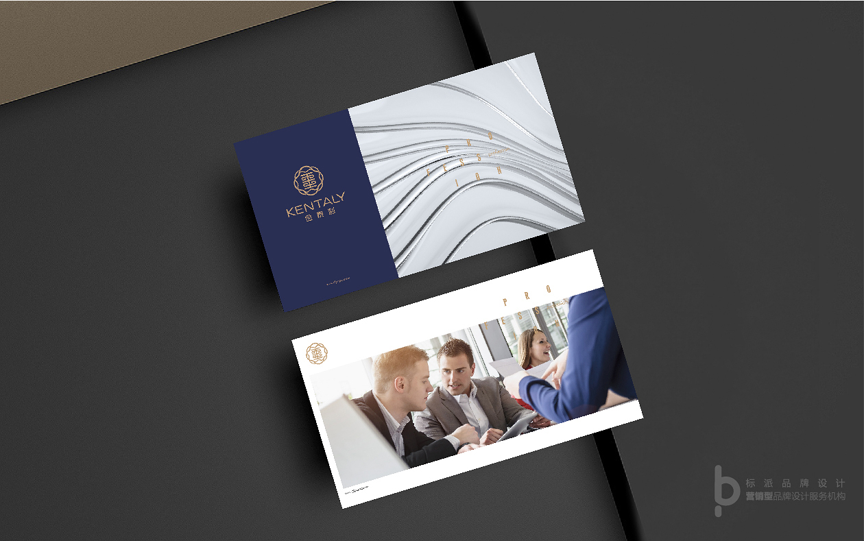 深圳vi設(shè)計公司,企業(yè)形象設(shè)計,標(biāo)志logo,品牌策劃,標(biāo)派視覺品牌設(shè)計公司