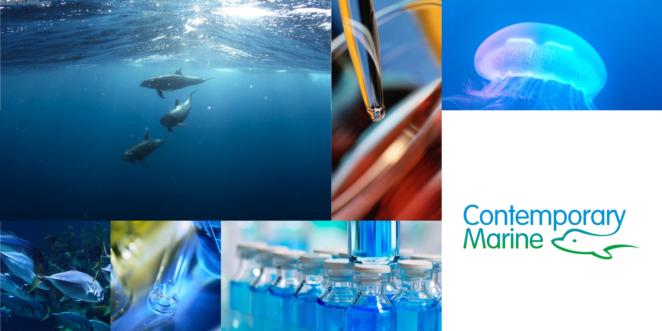 花小錢辦大事：微型VI設計的超高性價比