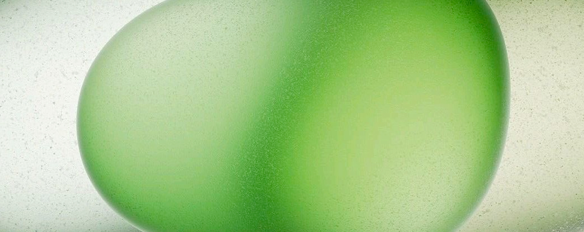 唐養師品牌設計,LOGO設計,品牌定位,微型VI設計