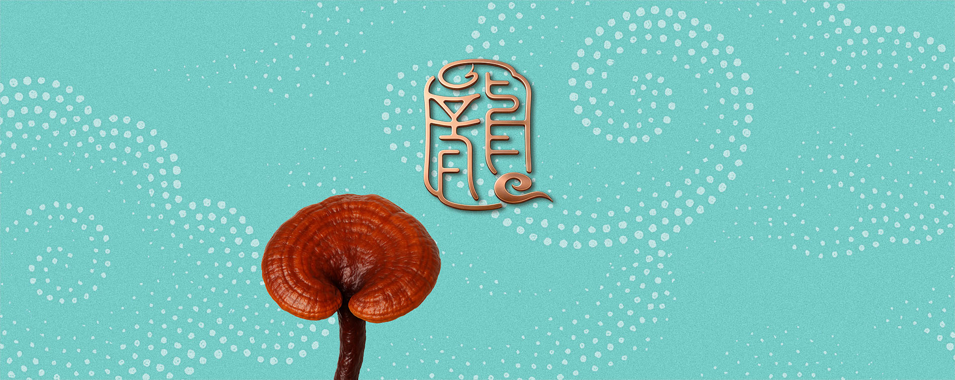 龍溪谷品牌包裝策劃設計，品牌定位，logo設計